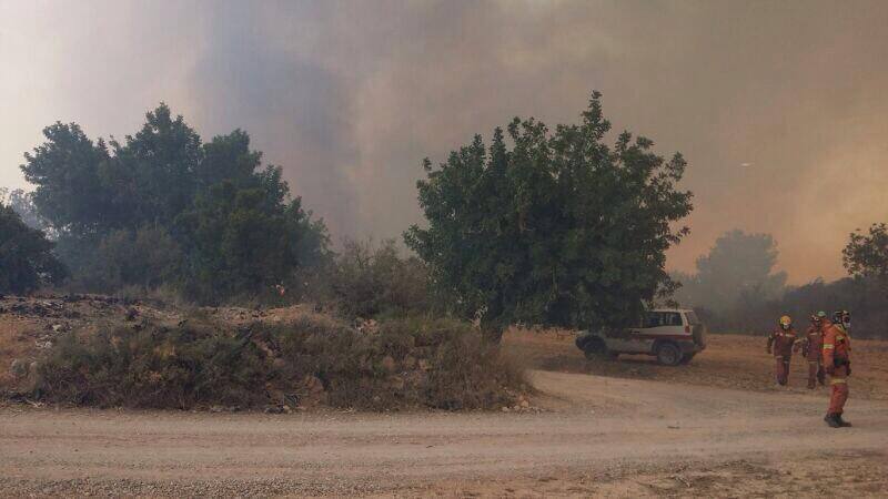 Las imágenes del incendio de Pedralba