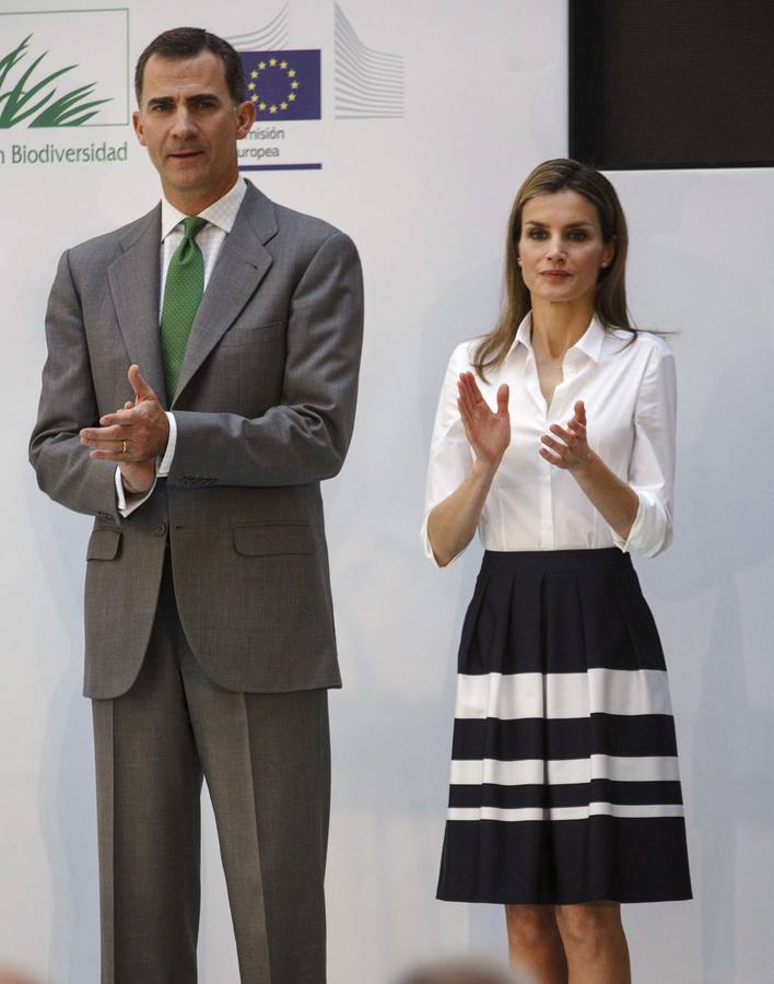 Los looks de Letizia Ortiz