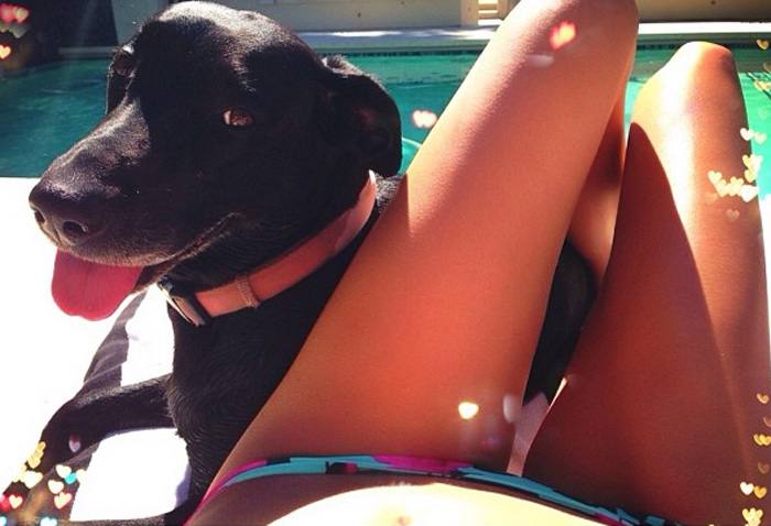 Kendall Jenner, la sexy hermanastra de Kim Kardashian