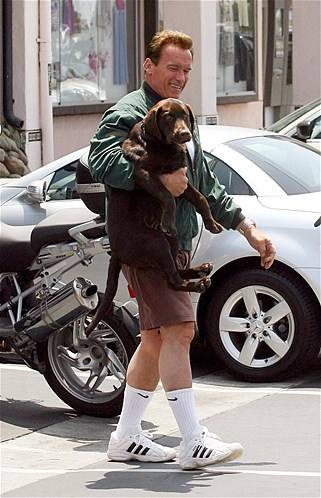 Arnold Schwarzenegger. 