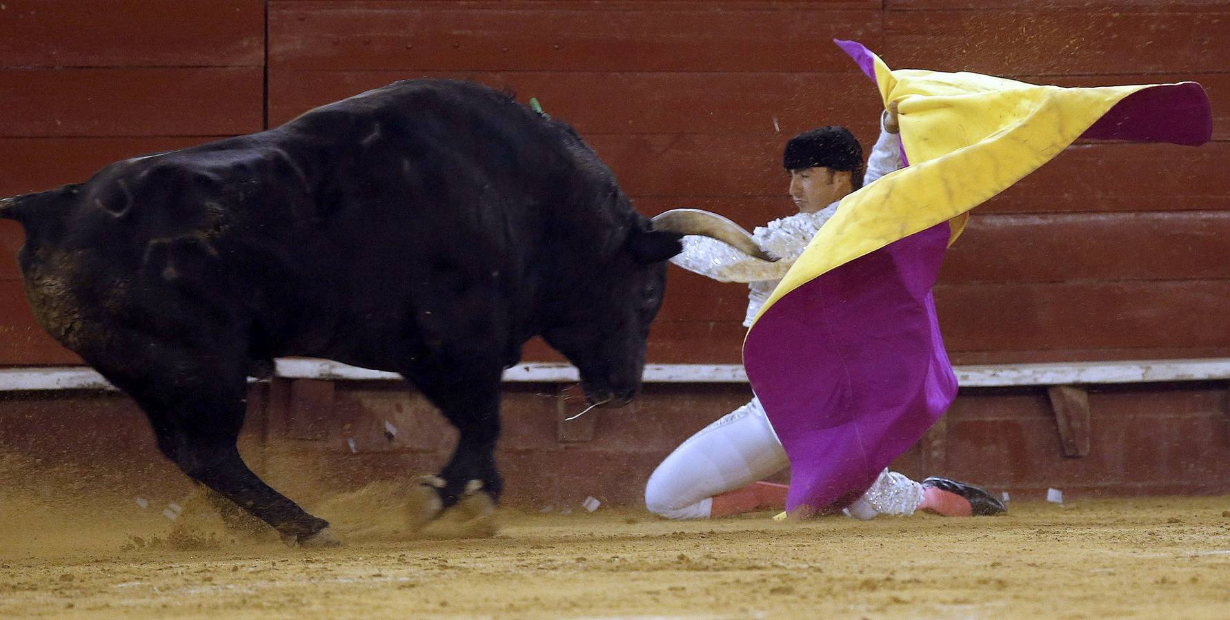Corrida nocturna en la Feria de Julio de Valencia 2014