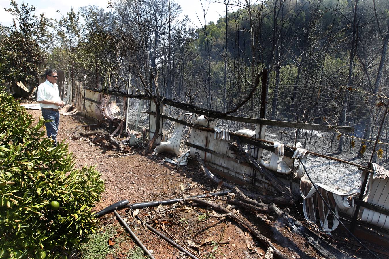 Imágenes del incendio en el término de Gilet