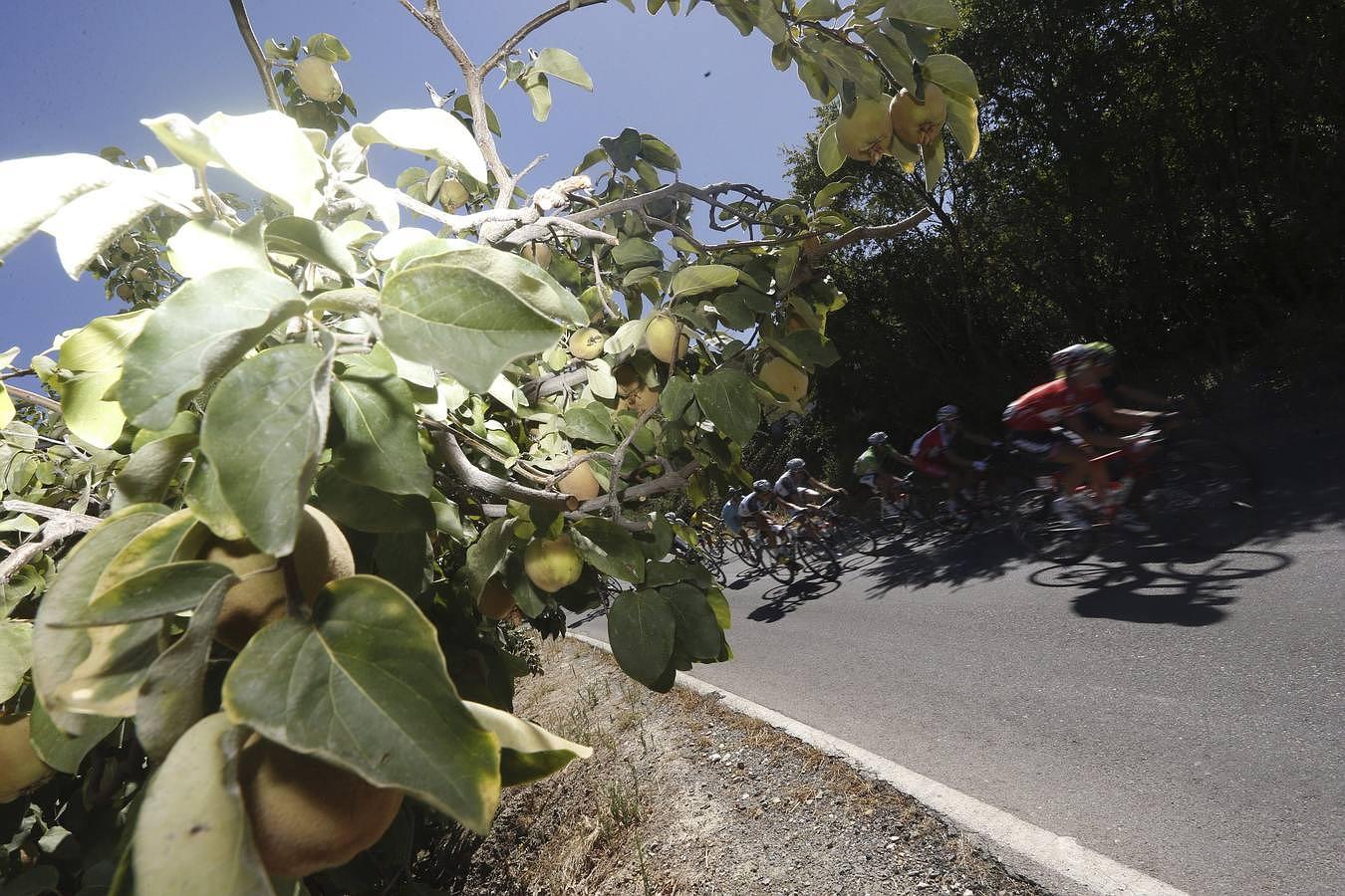 El pelotón, durante la quinta etapa de La Vuelta