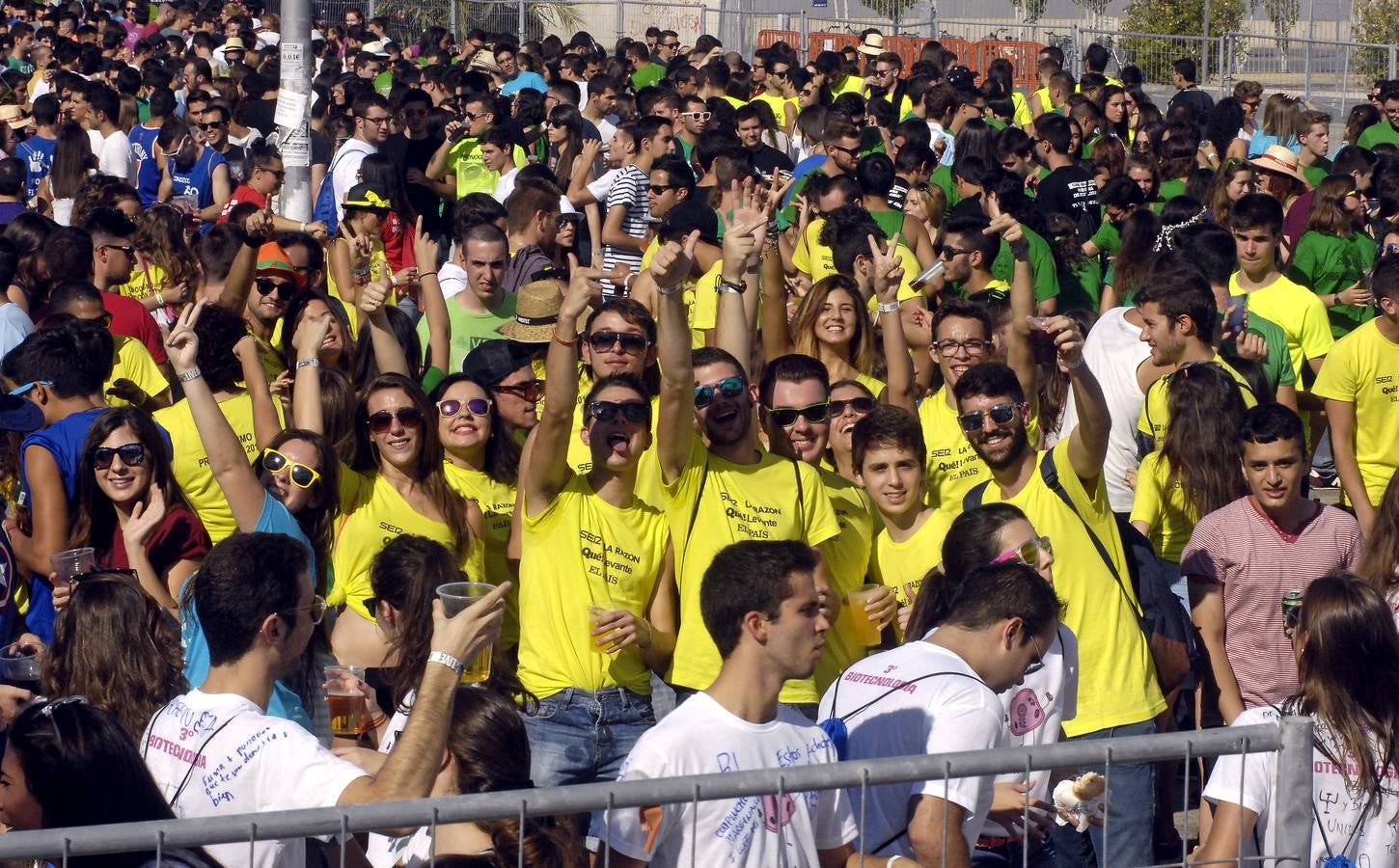 Paellas en Elche