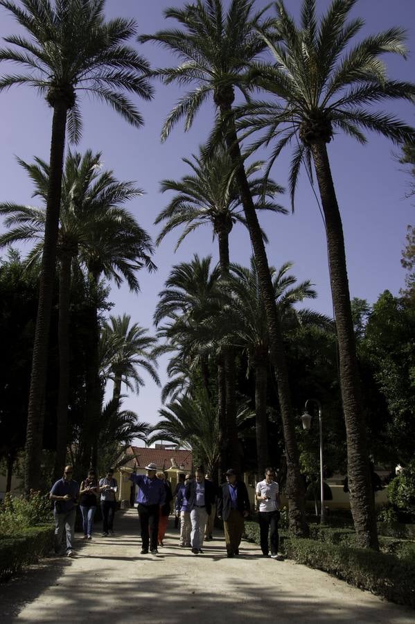 Jacarilla aspira crear un gran centro cultural en su conjunto histórico una vez tenga el BIC