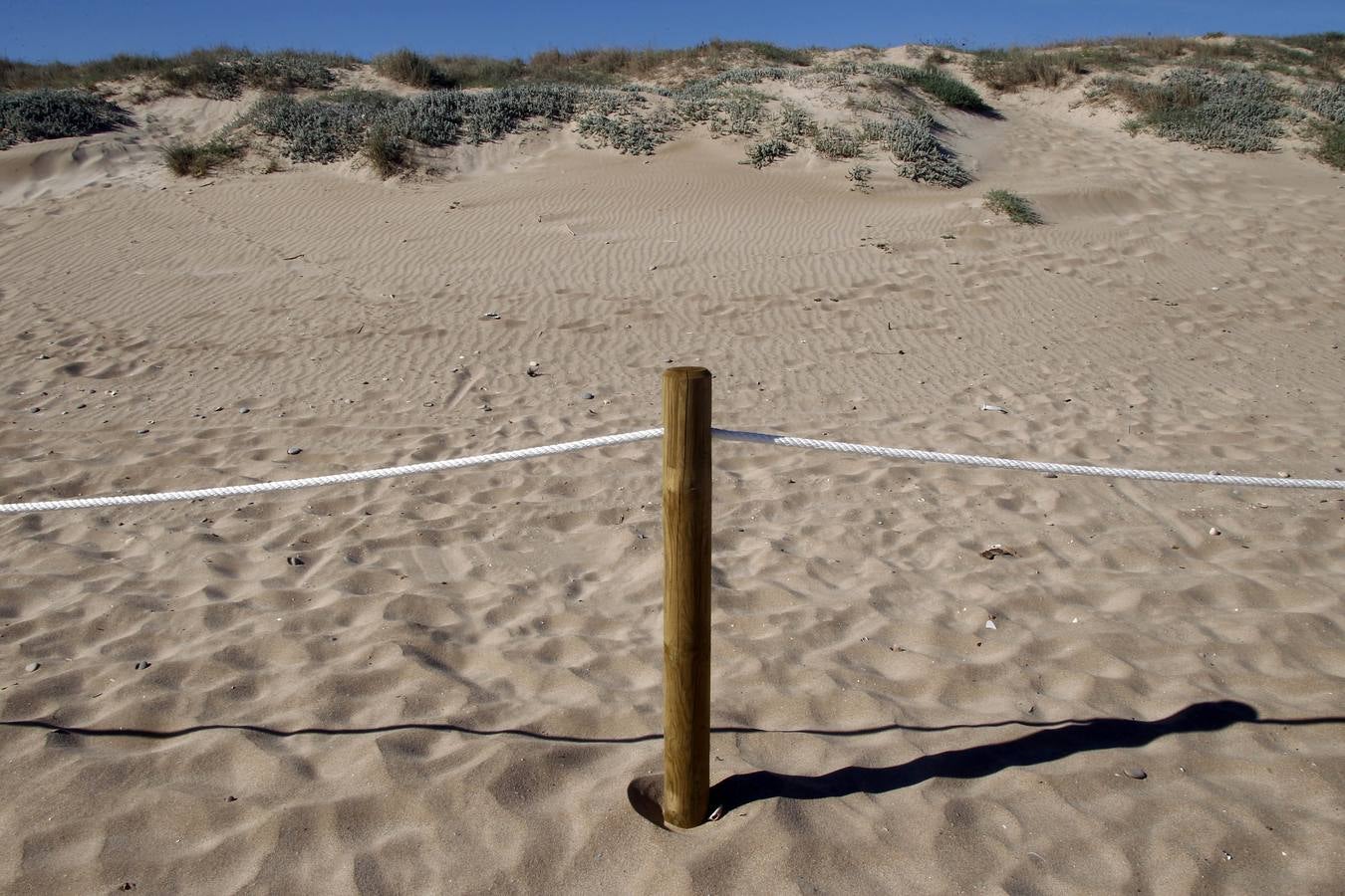 Regeneración de la playa de El Saler