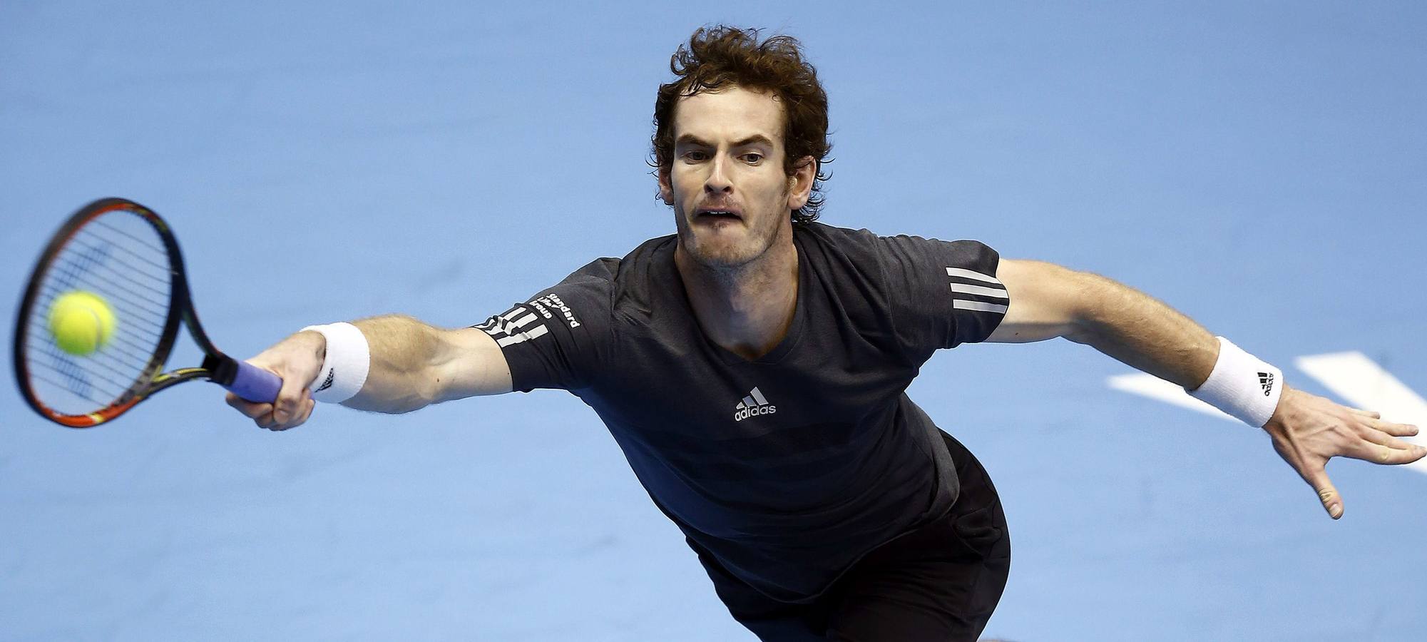 Ferrer y Murray se verán las caras en las semifinales del Valencia Open 500