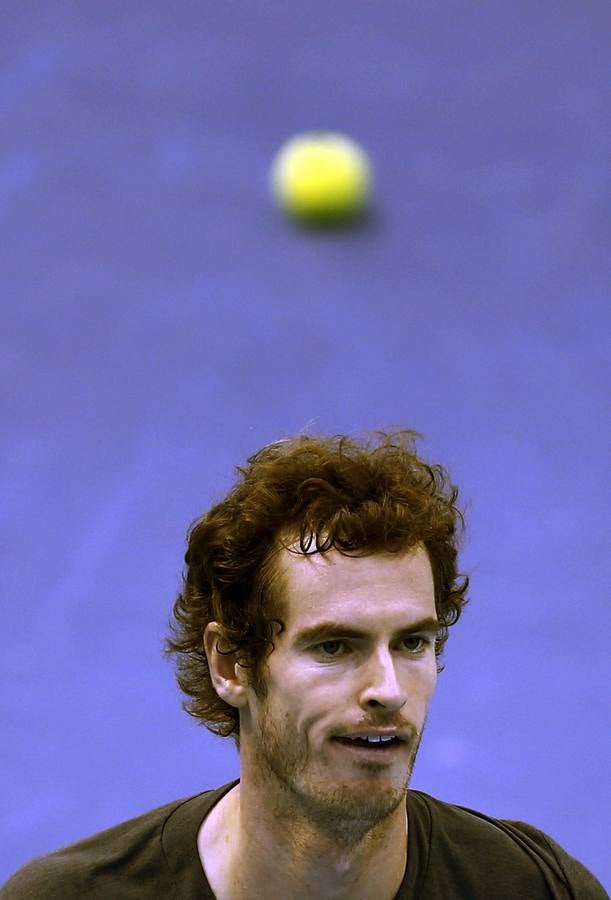 Ferrer y Murray se verán las caras en las semifinales del Valencia Open 500