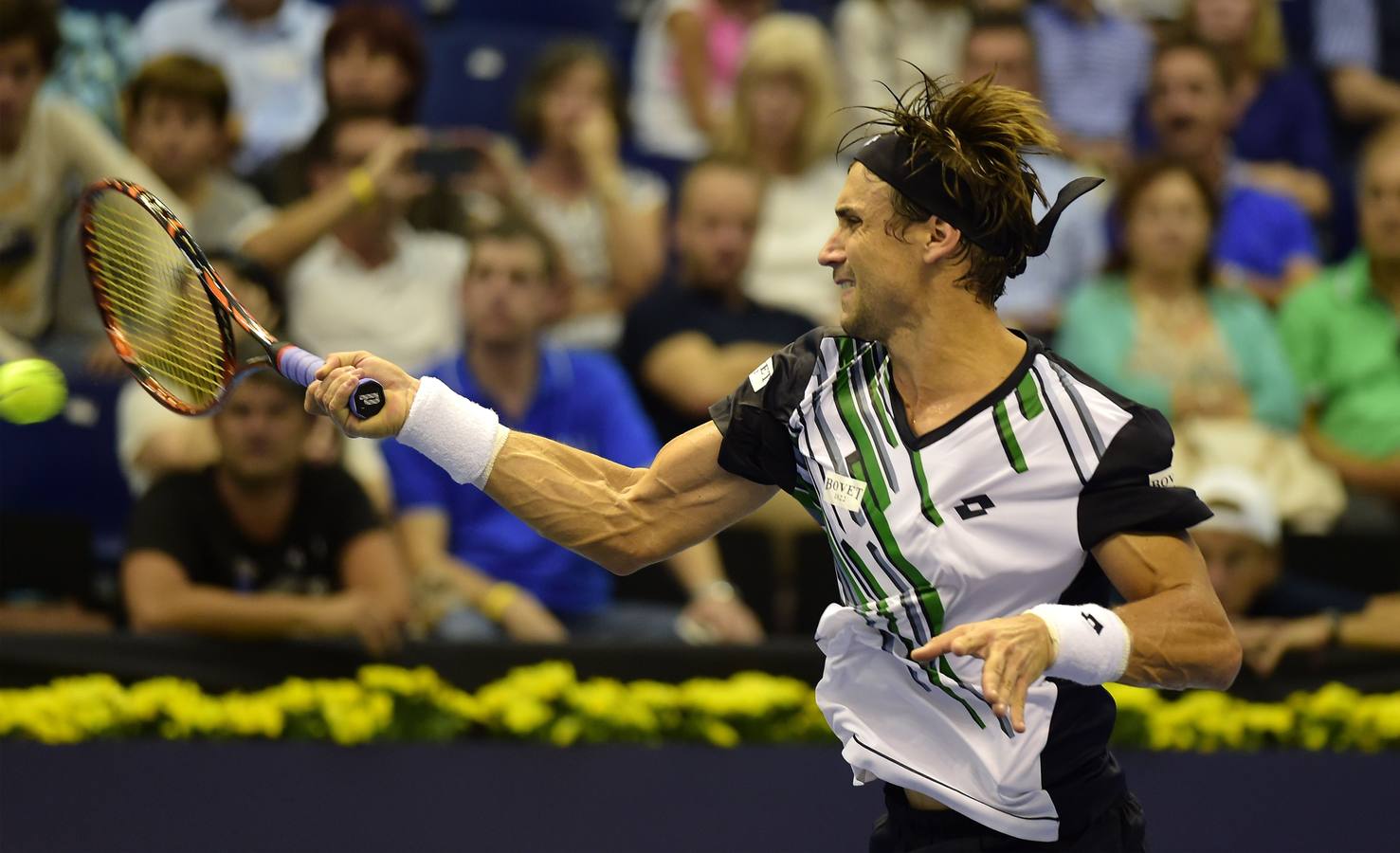 Ferrer y Murray se verán las caras en las semifinales del Valencia Open 500