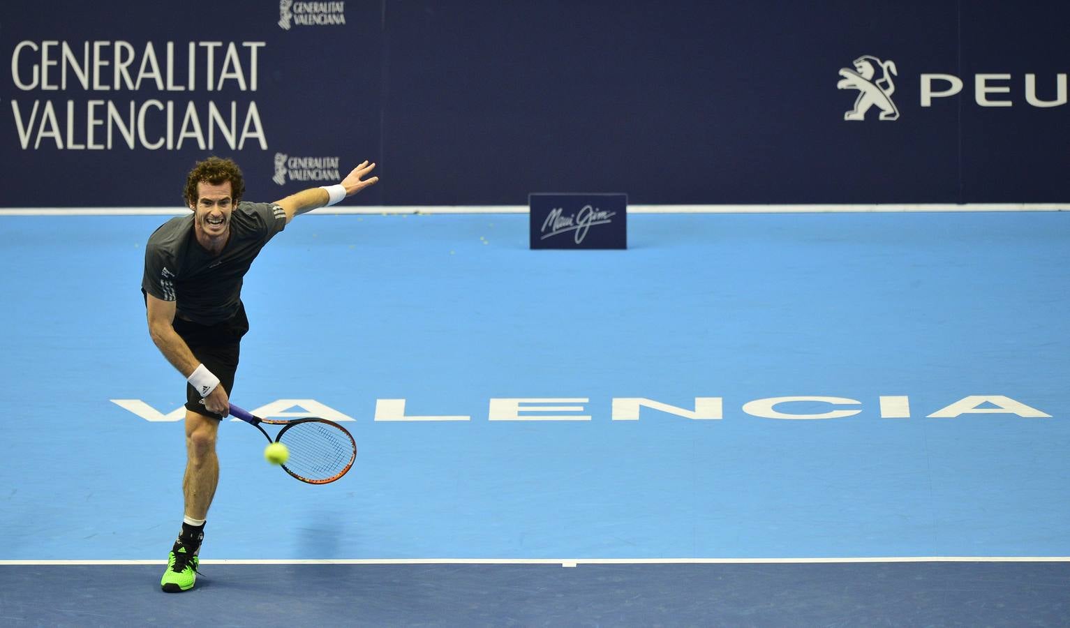 Ferrer y Murray se verán las caras en las semifinales del Valencia Open 500