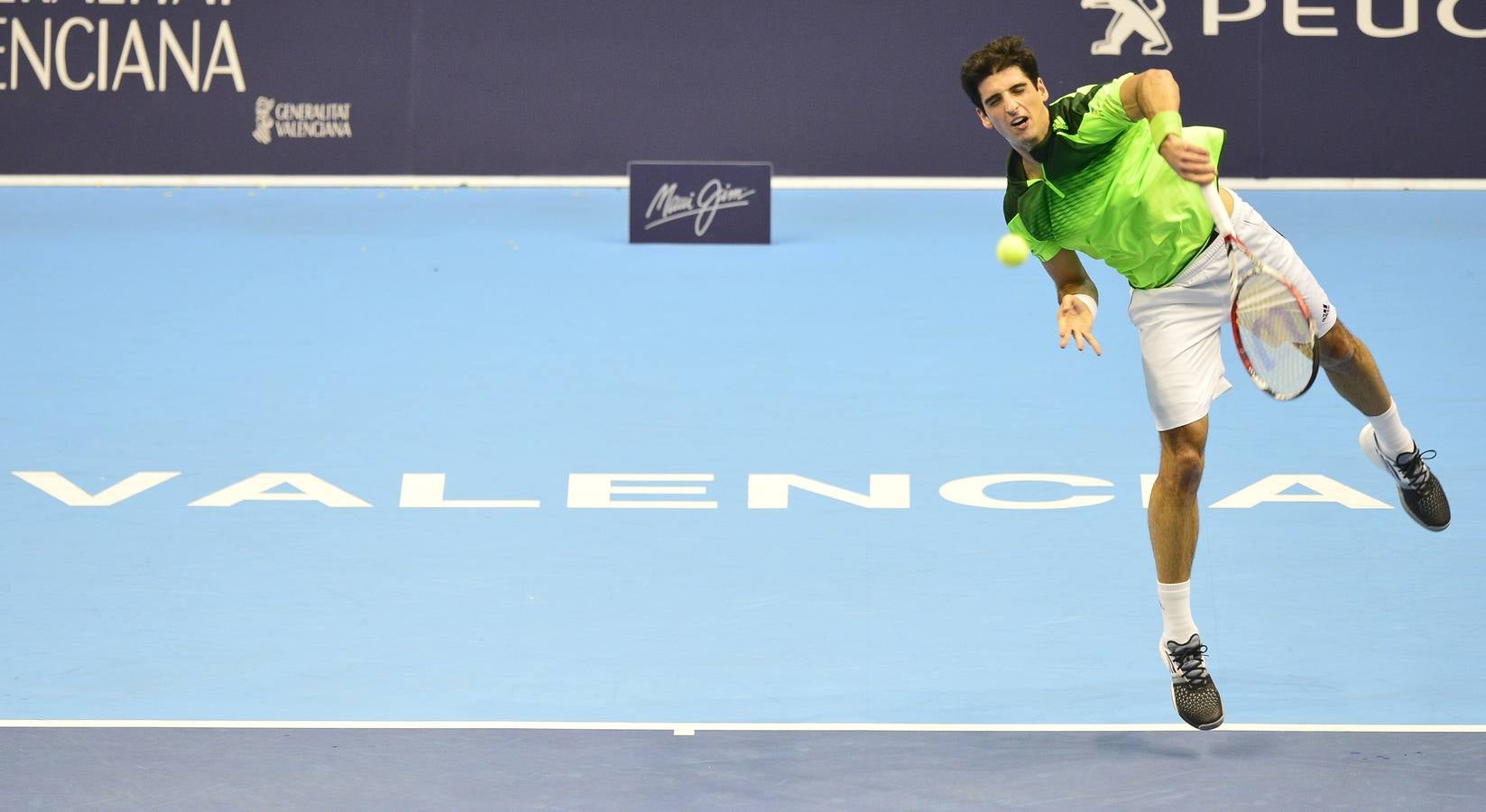 Ferrer y Murray se verán las caras en las semifinales del Valencia Open 500