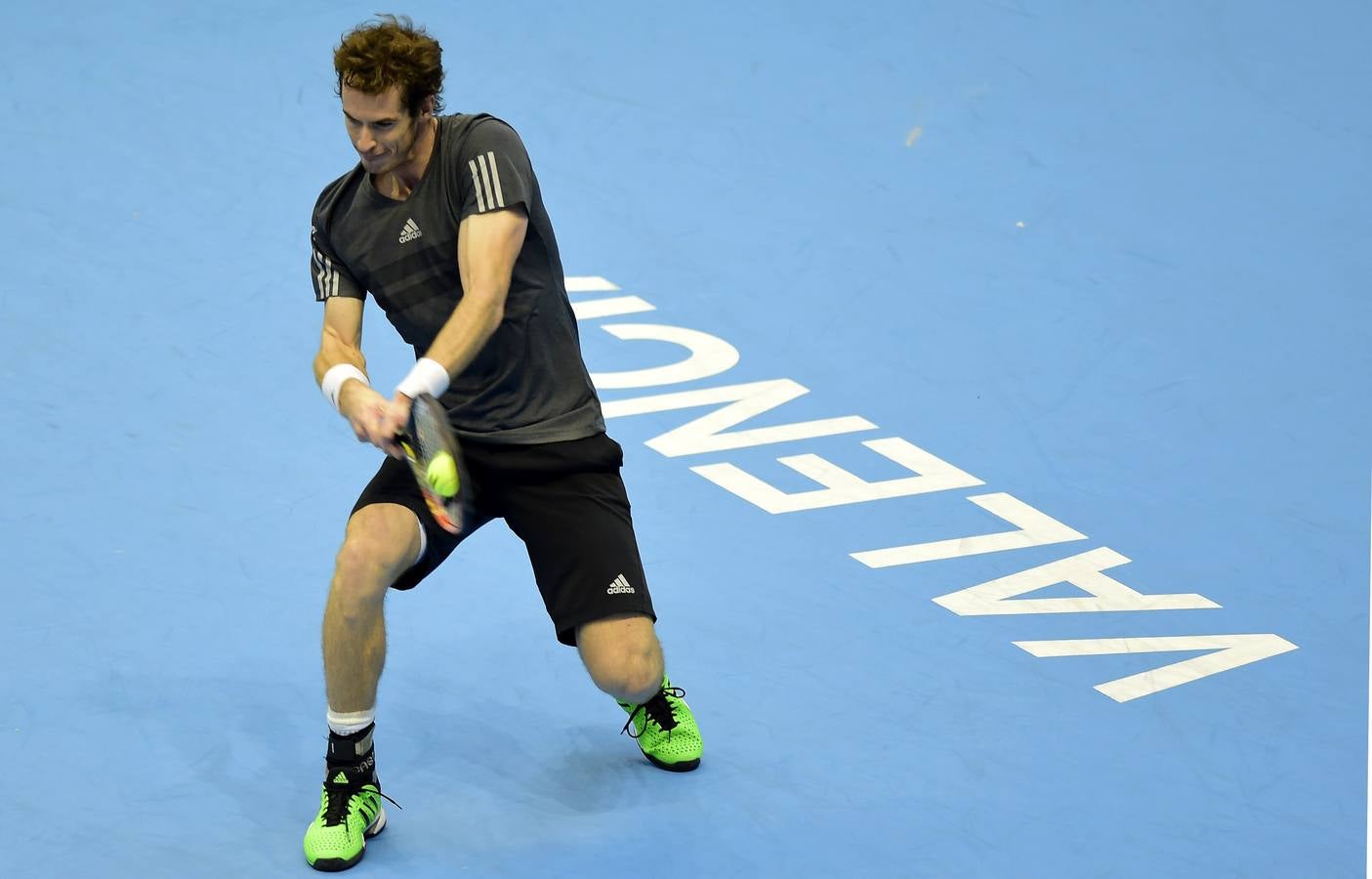 Ferrer y Murray se verán las caras en las semifinales del Valencia Open 500