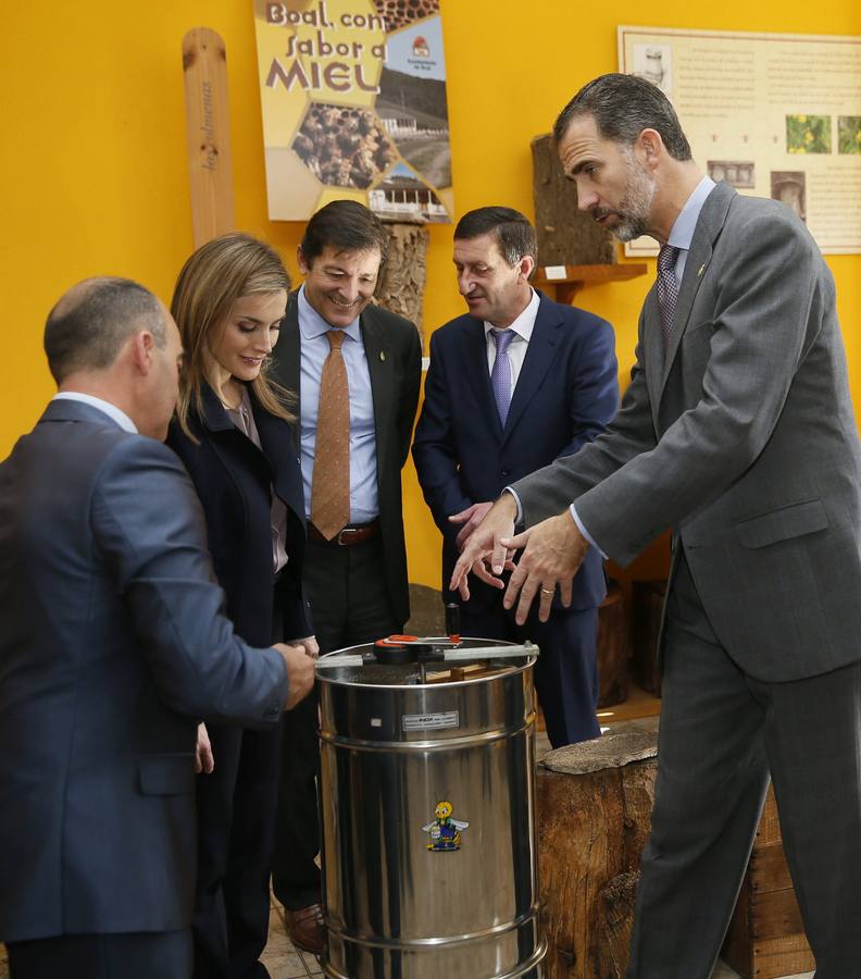 Los reyes Felipe y Letizia, junto al presidente del Principado, Javier Fernández, y el alcalde de Boal, José Antonio Barrientos, visitan la Casa de la Apicultura.