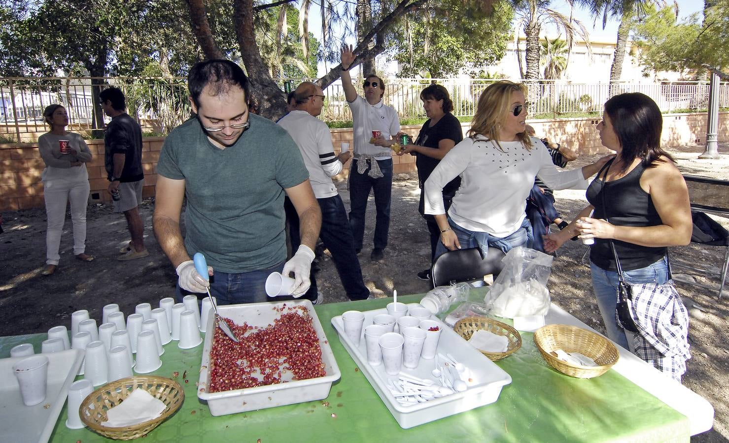 Romería de San Crispín en Elche