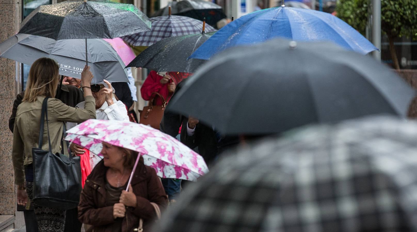 Las lluvias dejan hasta 20 litros en el interior de Valencia y Alicante