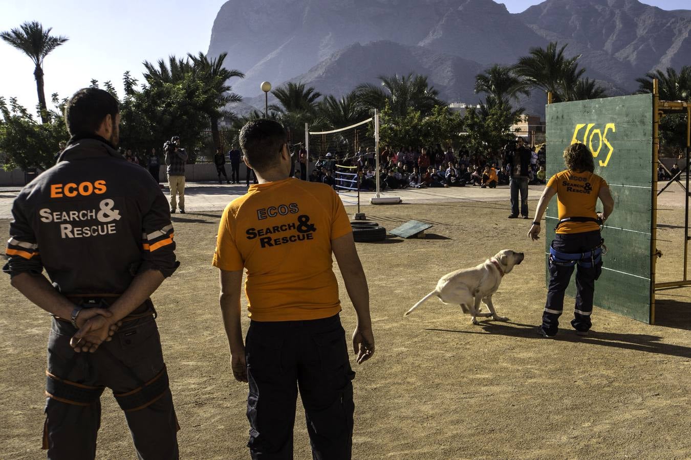 Academia de perros de rescate