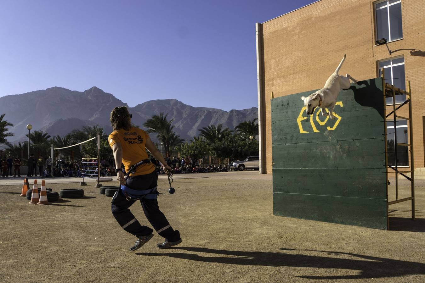 Academia de perros de rescate