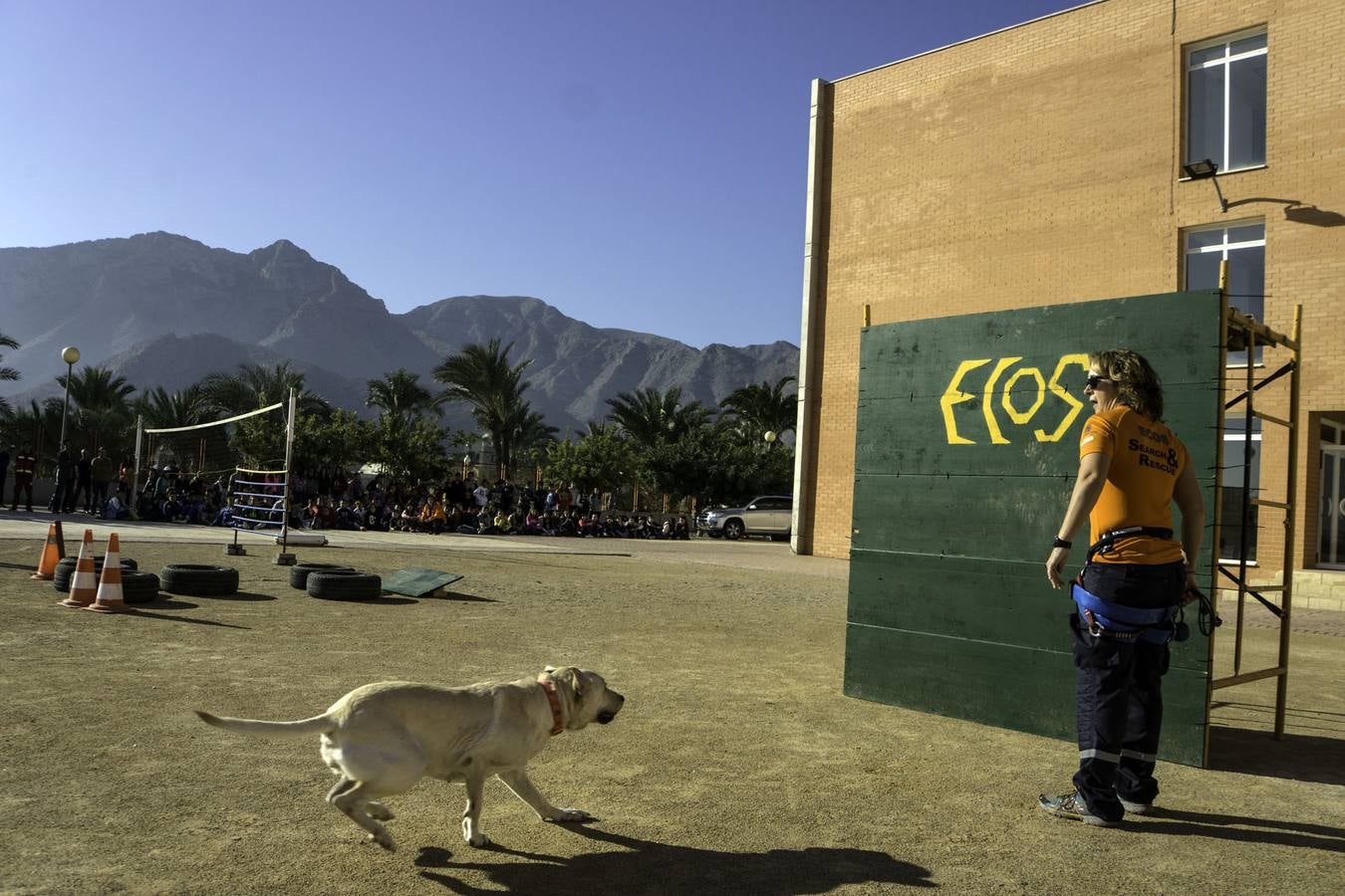 Academia de perros de rescate