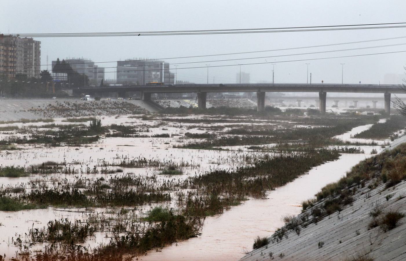 Caudal de agua en el nuevo cauce del rio Turia. 