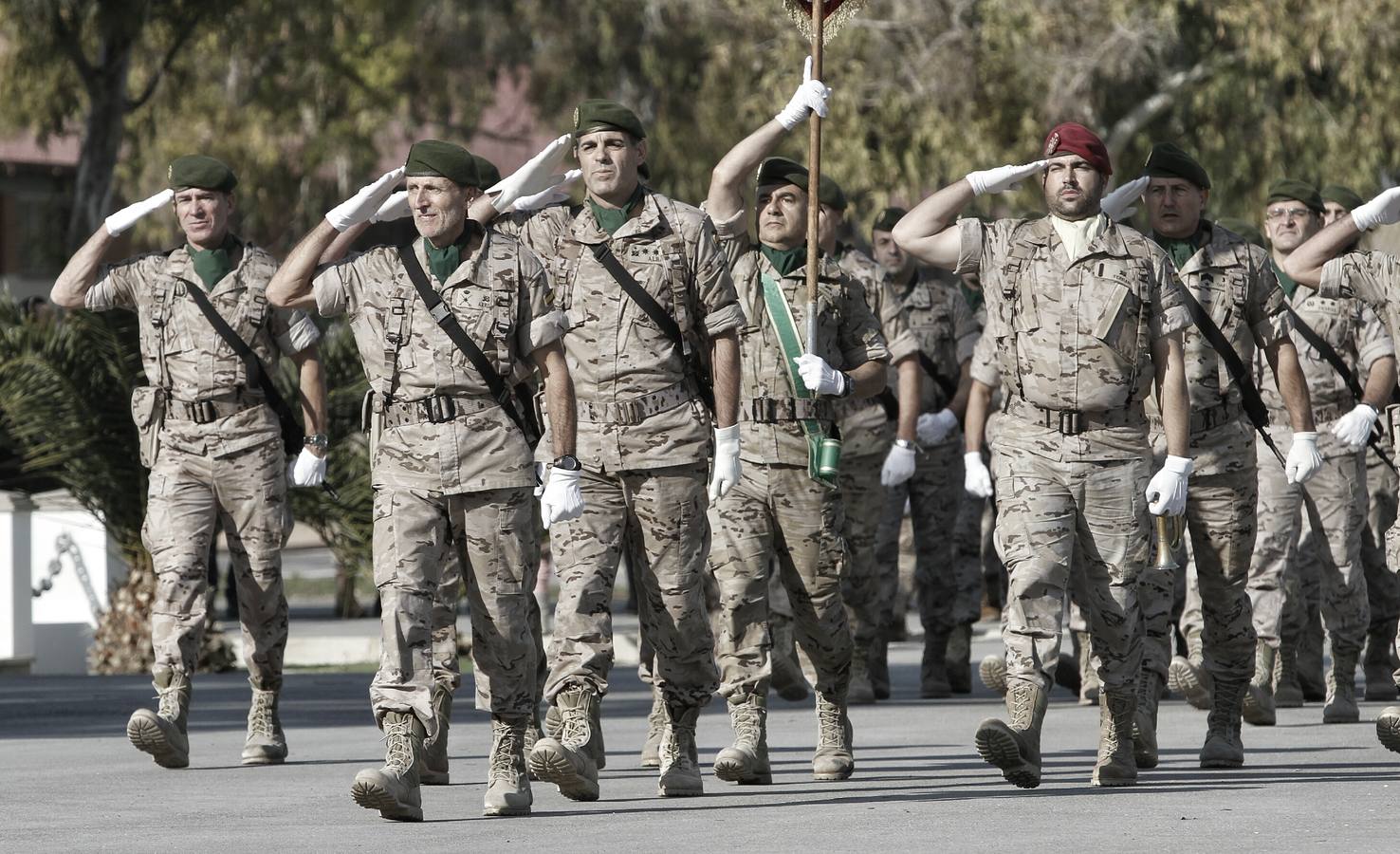 Los &#039;boinas verdes&#039;, de aniversario