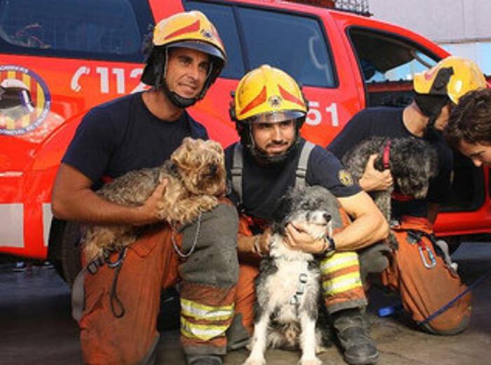 El lado animal de los bomberos