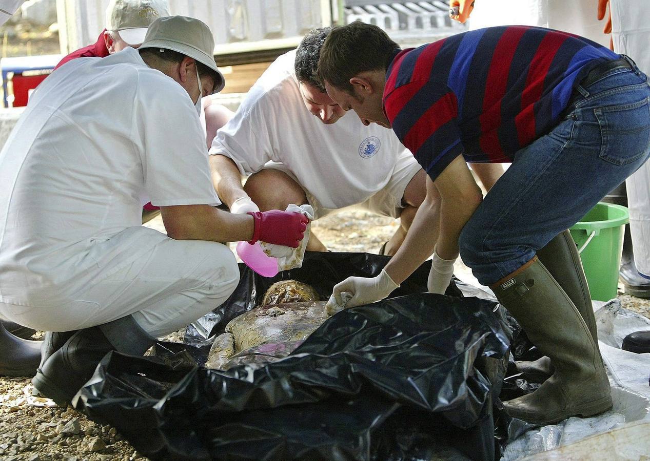 Un equipo forense alemán, en Phuket (Tailandia), el 2 de enero de 2005.