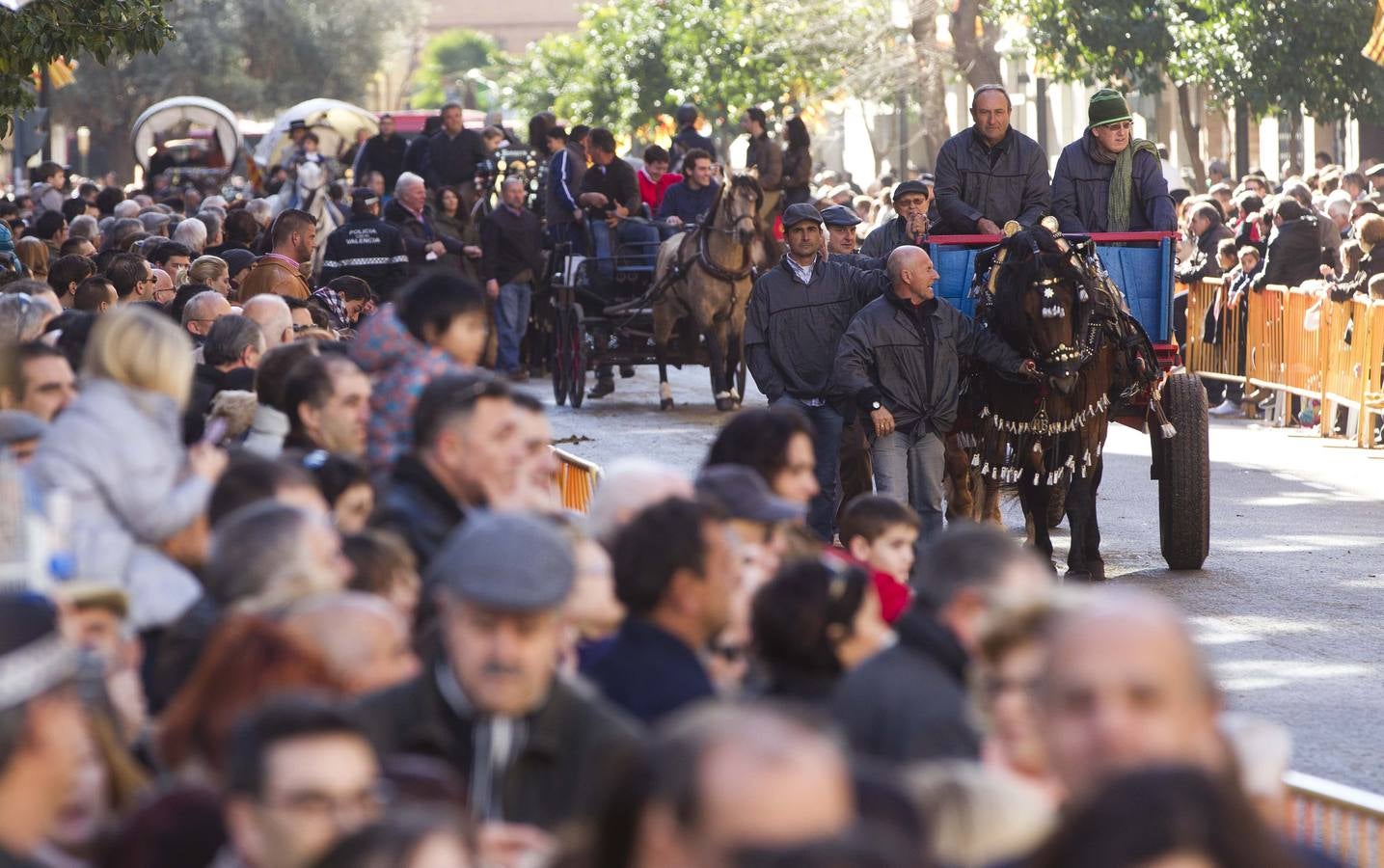 San Antonio 2014: bendición de mascotas en Valencia