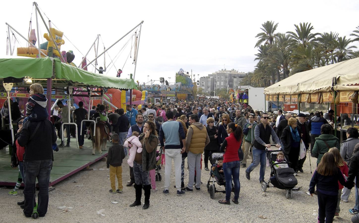 Celebración de San Antón en Elche