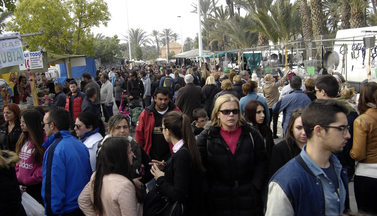 Celebración de San Antón en Elche