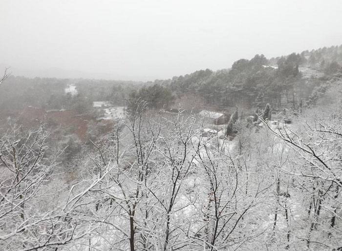 Nieva en la Comunitat