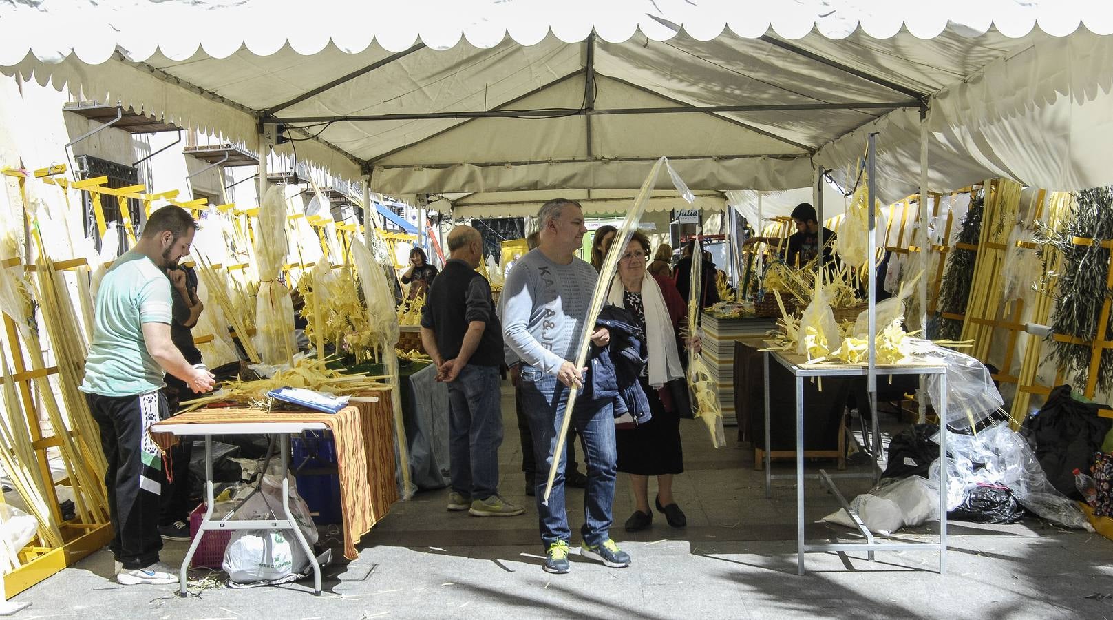 Venta de Palma Blanca en Elche