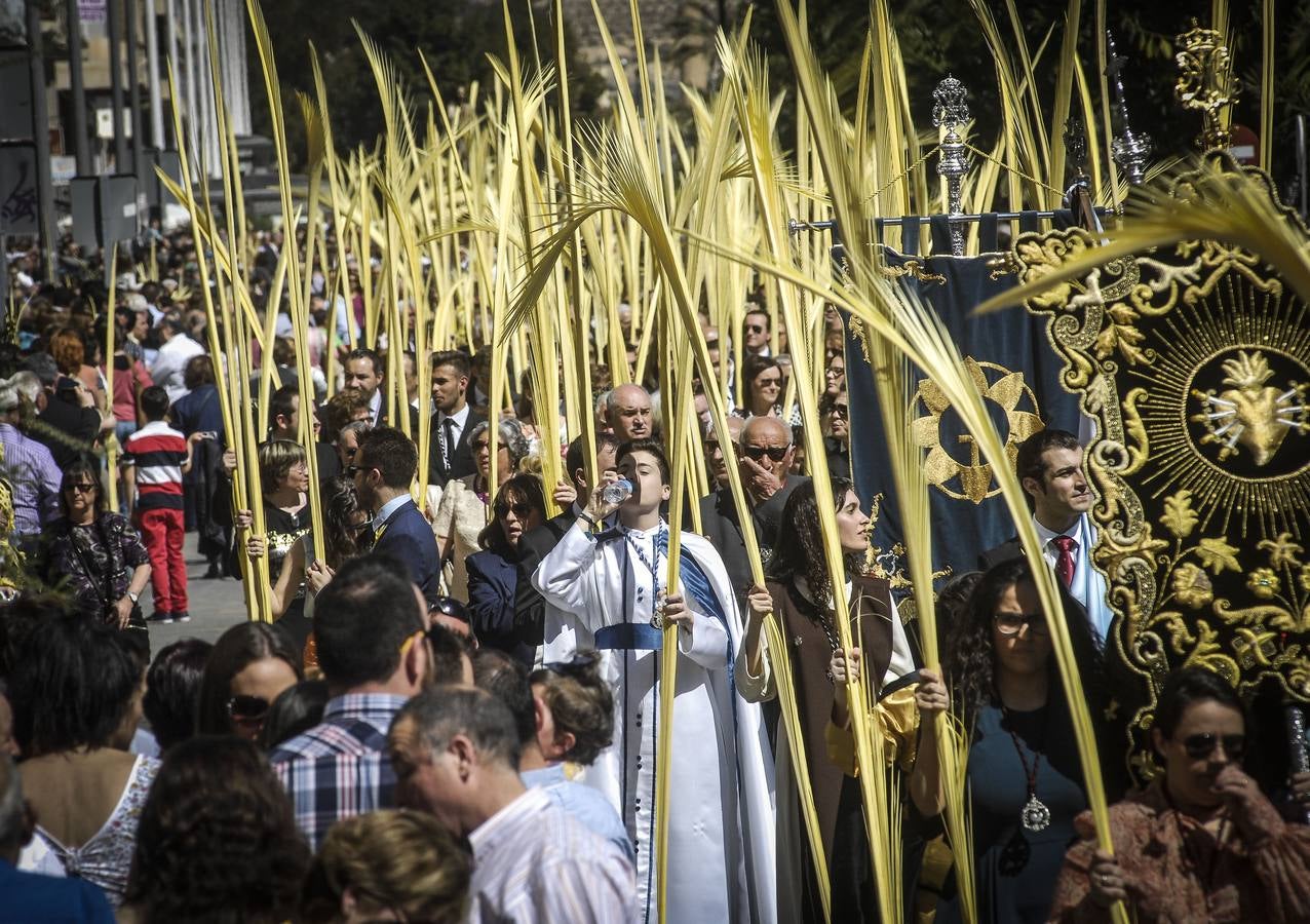 Procesión de Domingo de Ramos en Elche