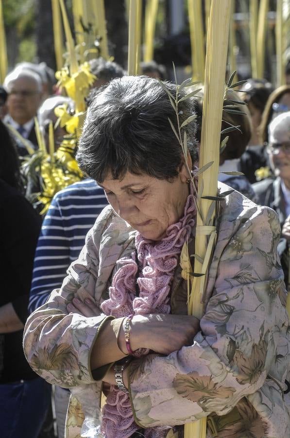 Procesión de Domingo de Ramos en Elche