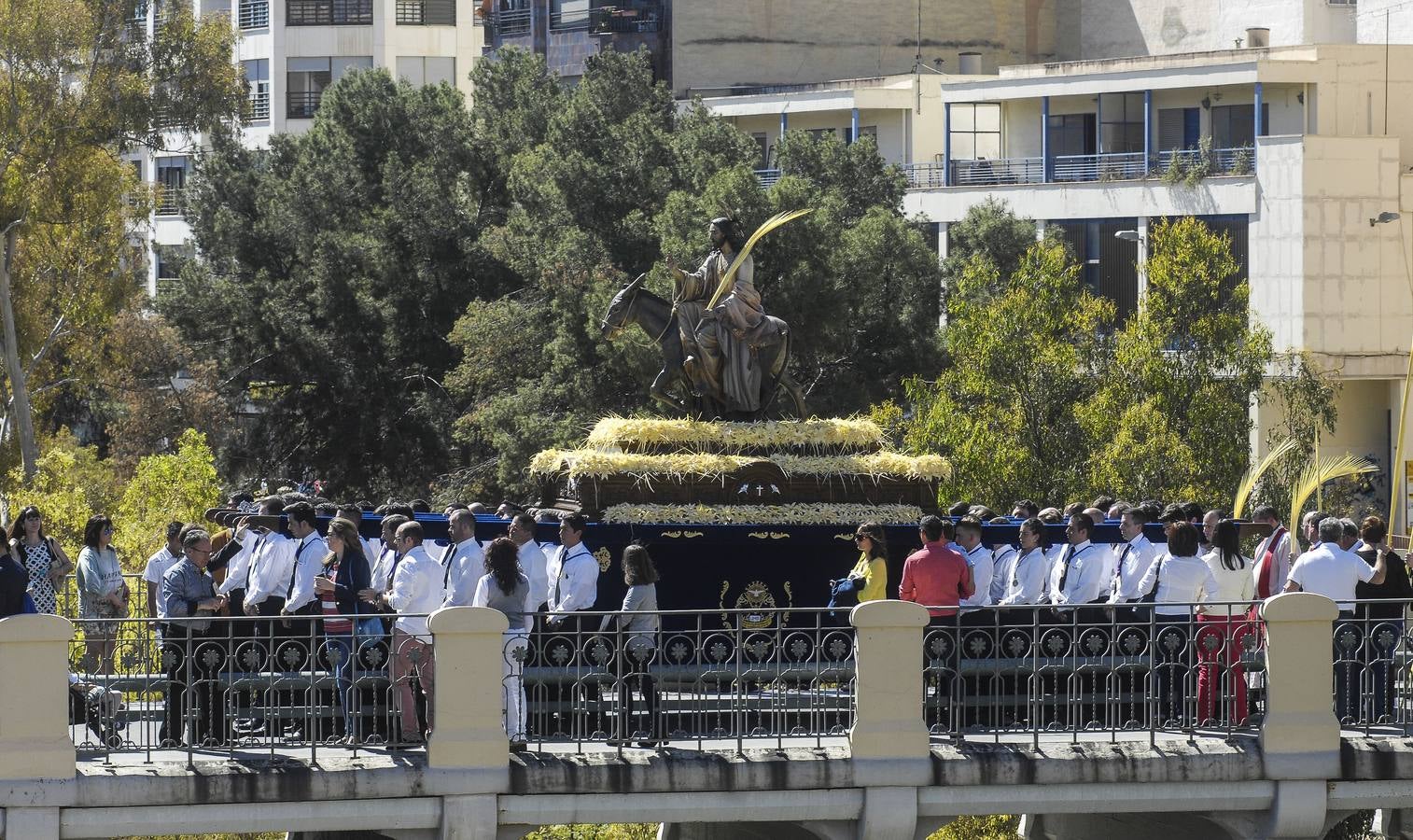 Procesión de Domingo de Ramos en Elche