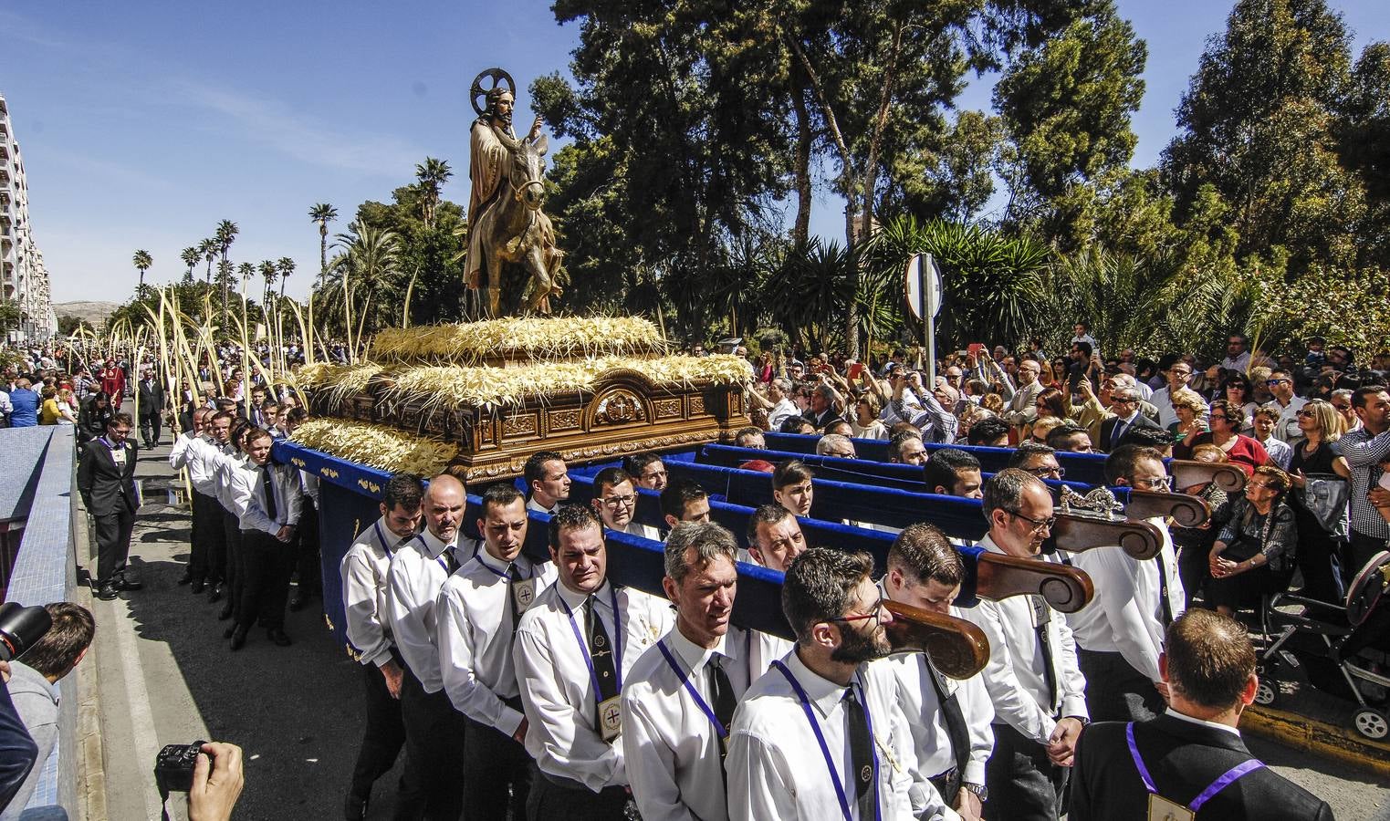 Procesión de Domingo de Ramos en Elche