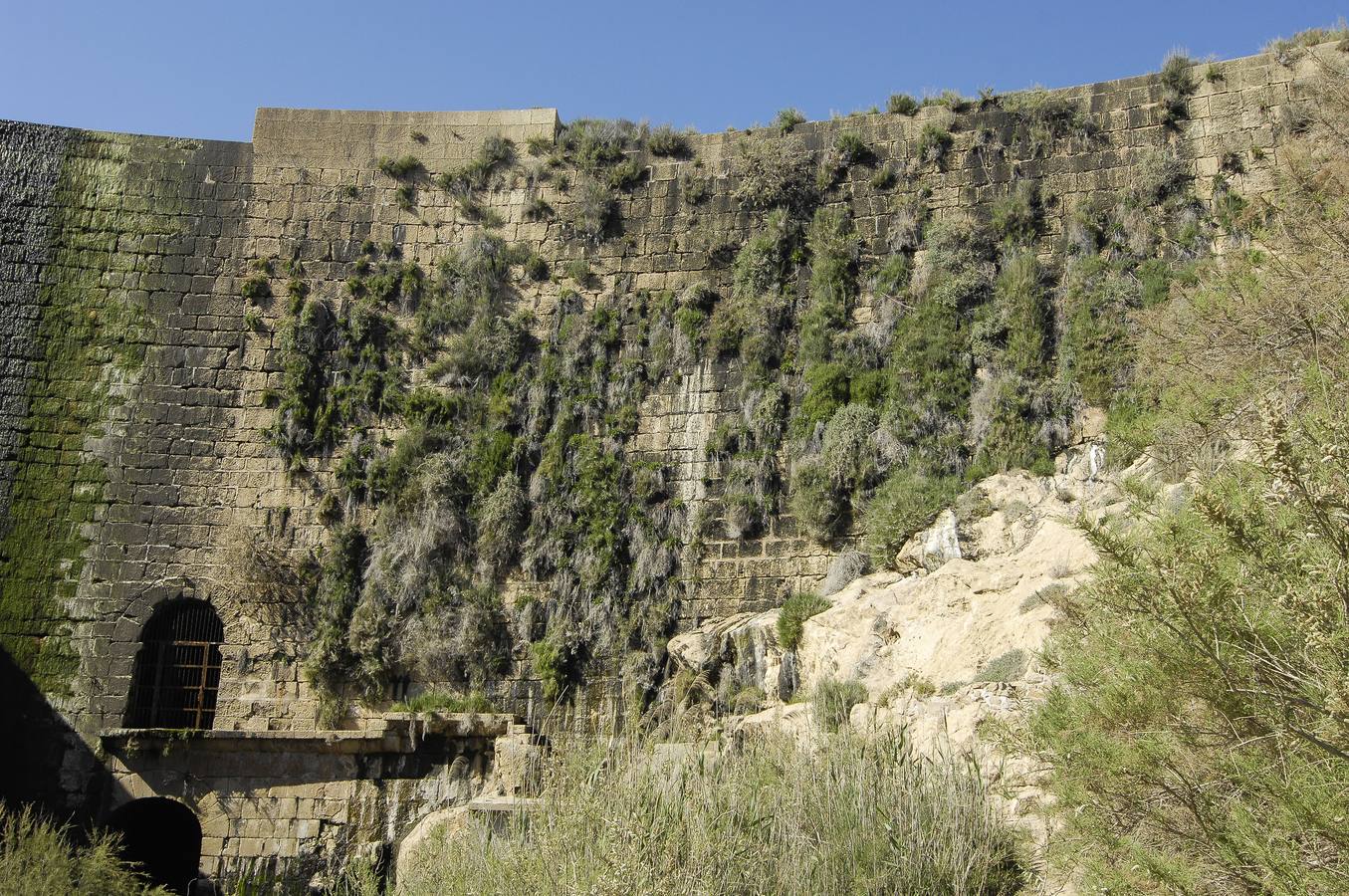 Pantano de Elche