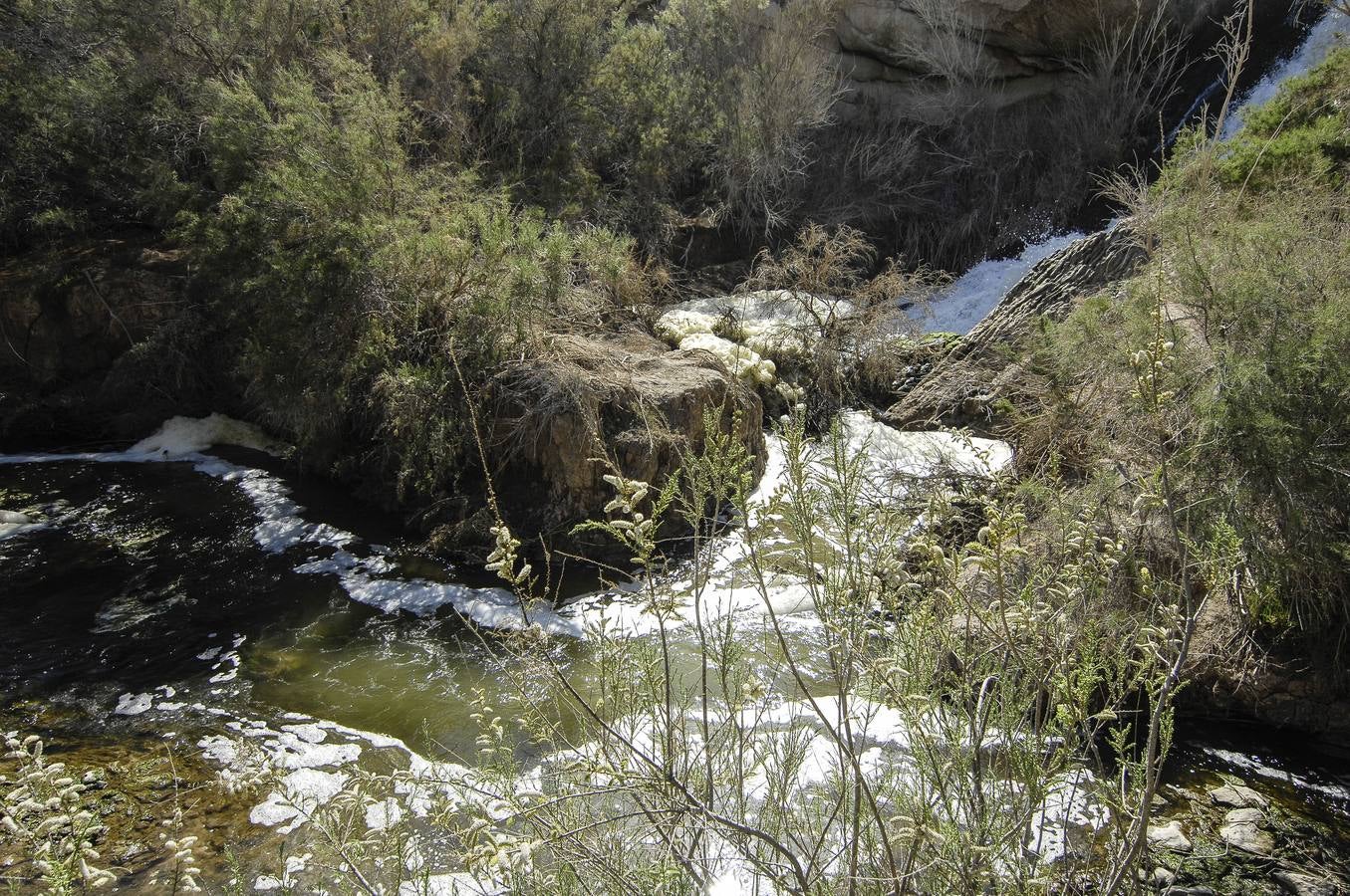 Pantano de Elche