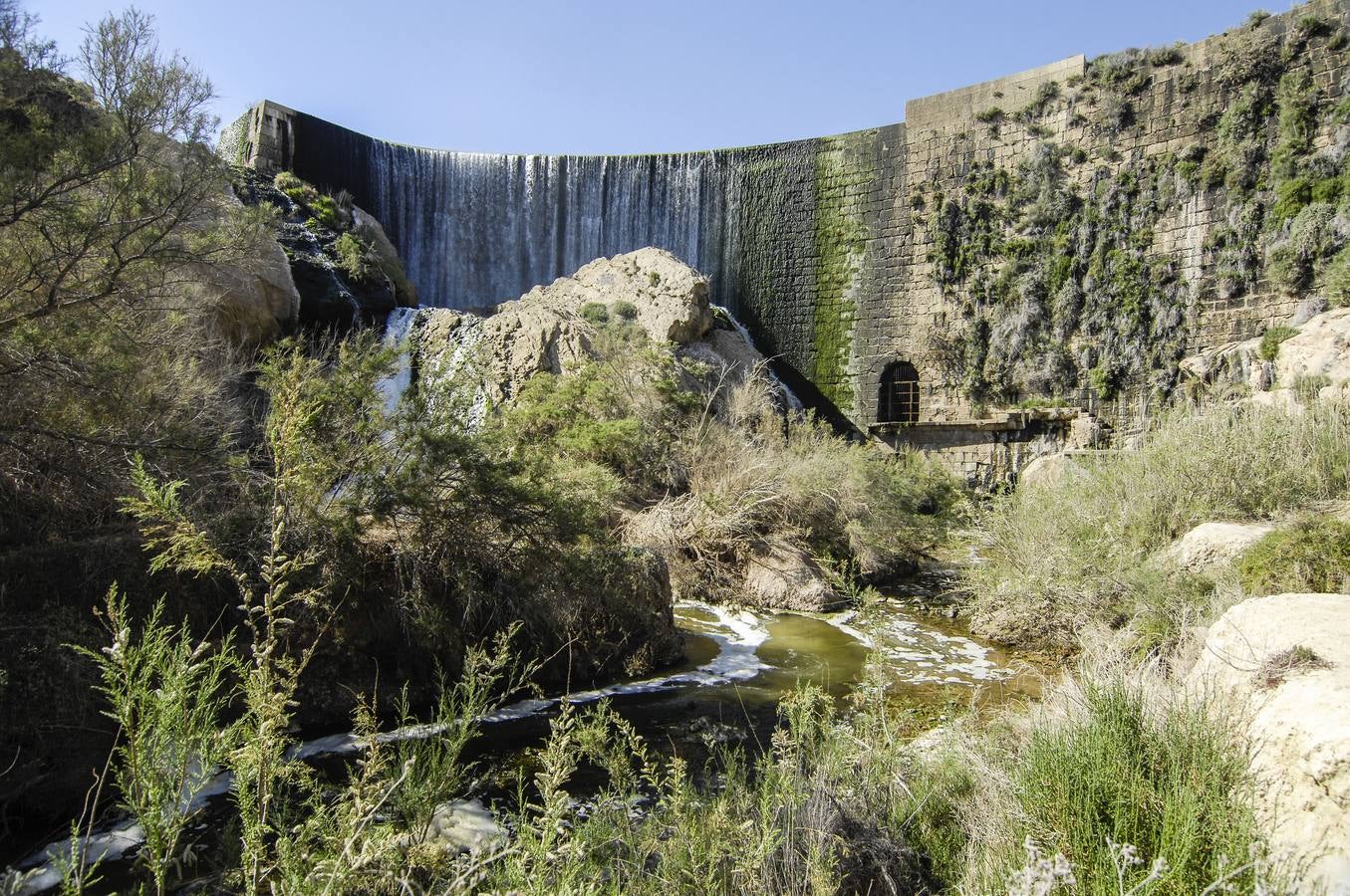 Pantano de Elche