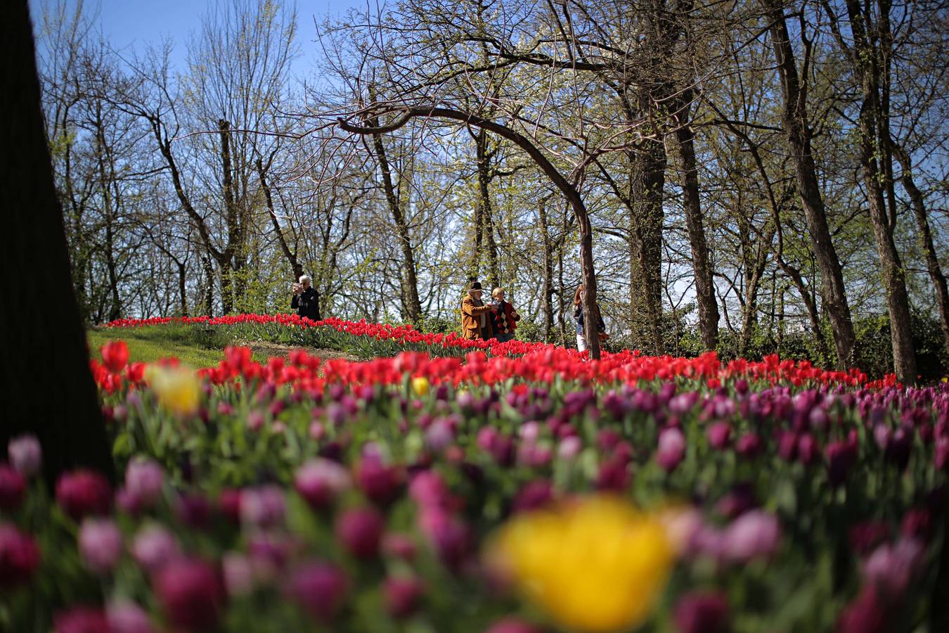 El color de la primavera