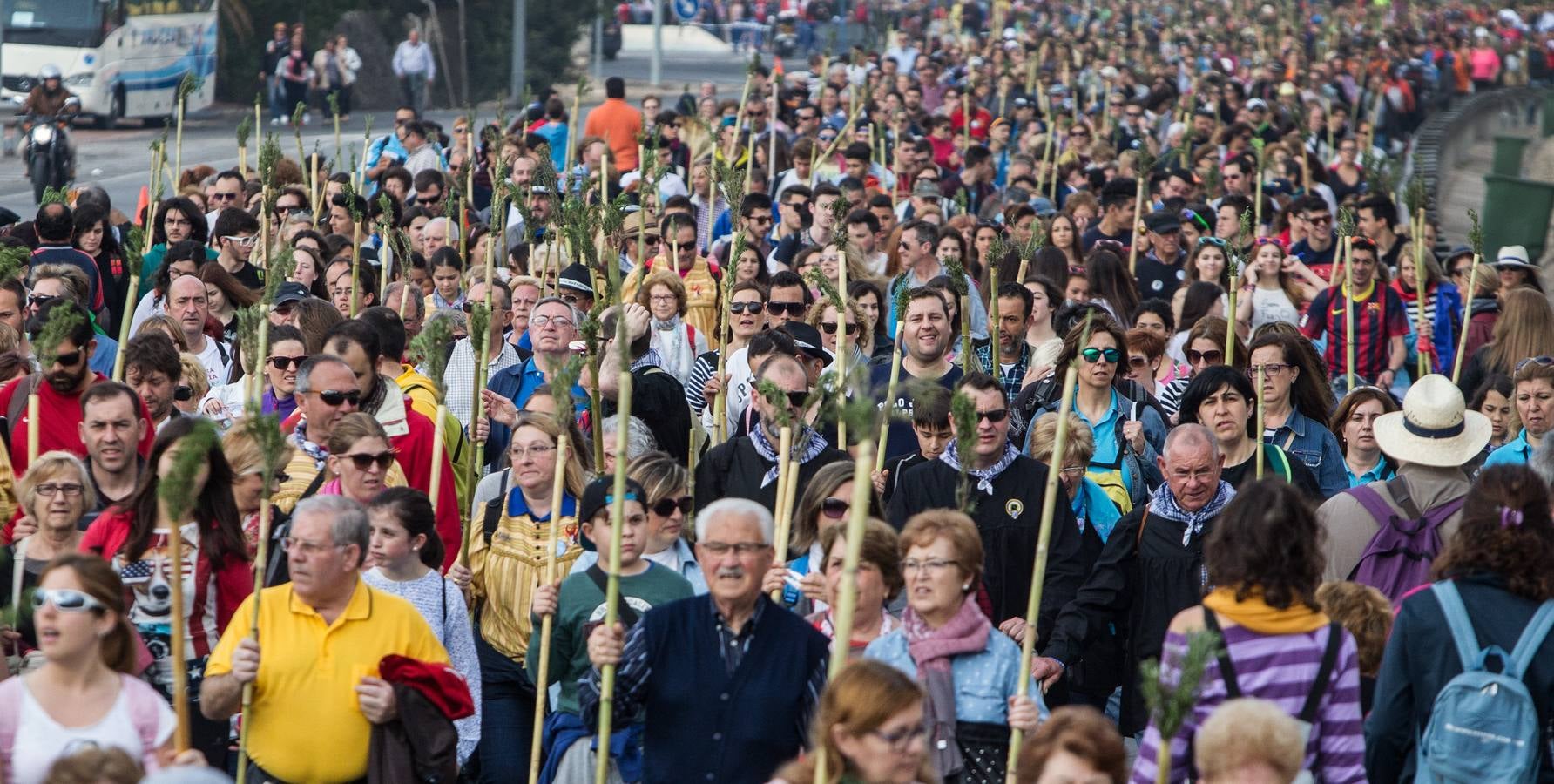 Romería de la Santa Faz (I)