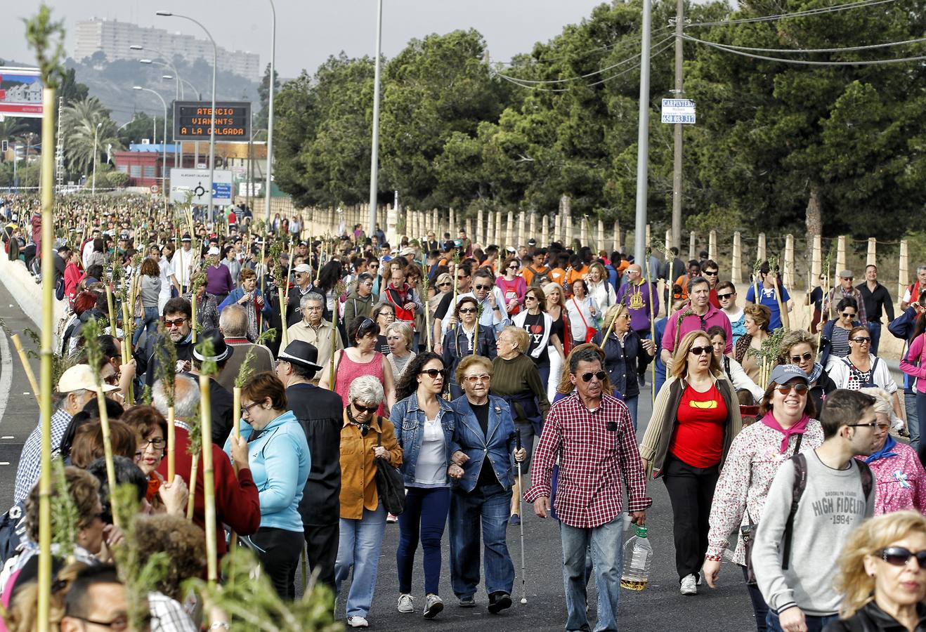 Romería de la Santa Faz (II)