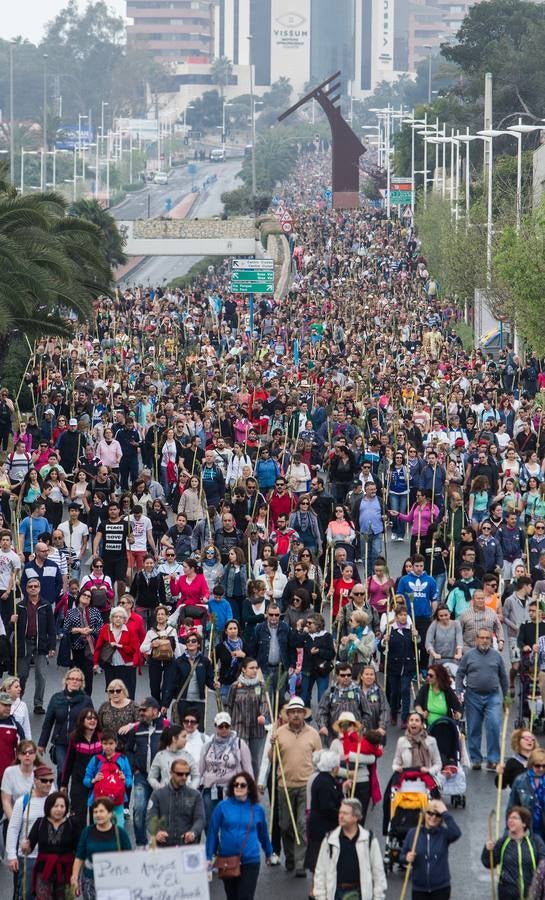 Romería de la Santa Faz (II)