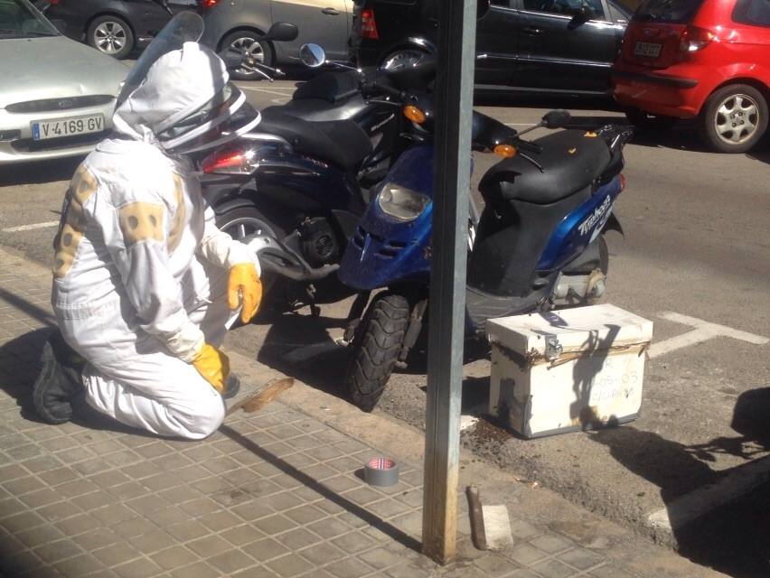 Un enjambre de abejas en una moto moviliza a los bomberos