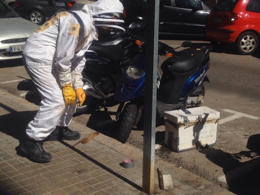 Un enjambre de abejas en una moto moviliza a los bomberos