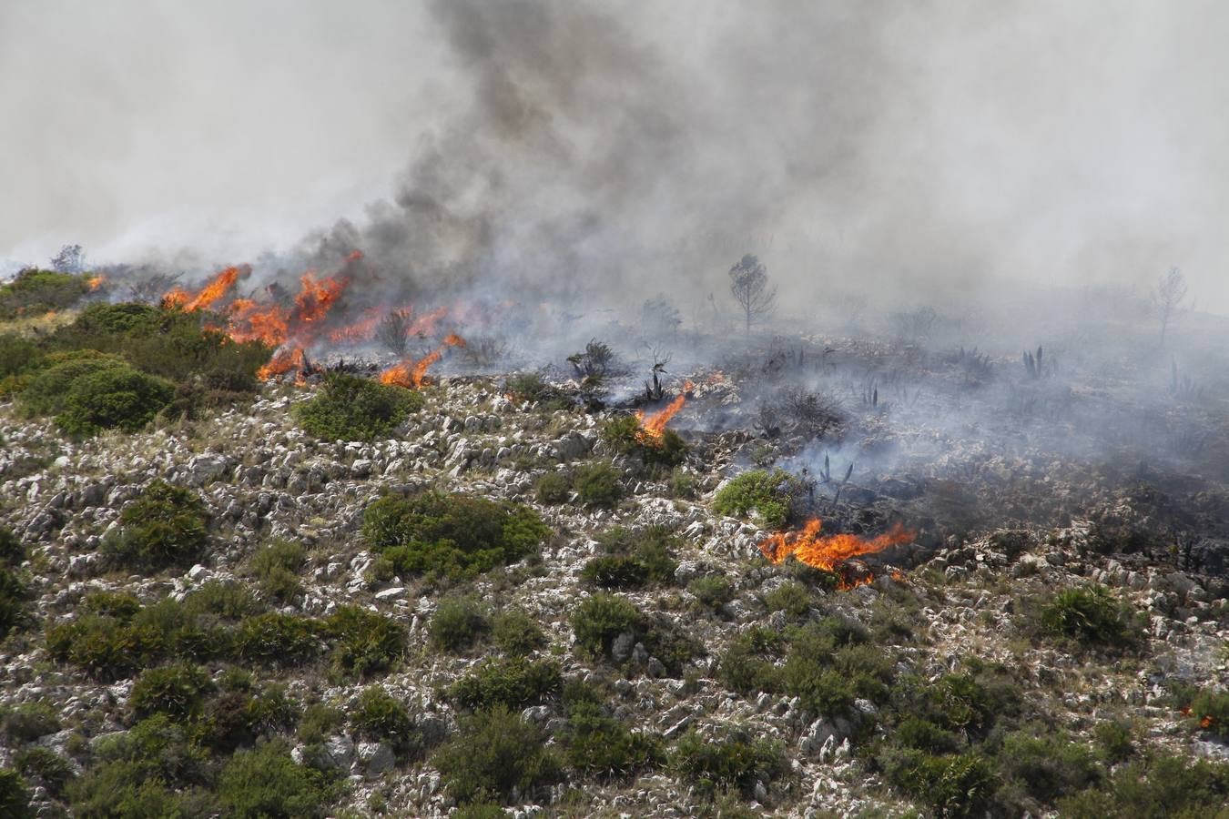 Incendio en Vall d&#039;Ebo