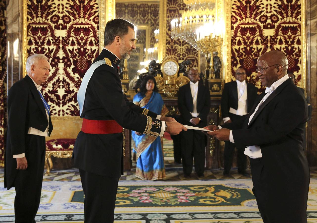 Felipe VI recibe en el Palacio Real las cartas credenciales del embajador de Sudáfrica.