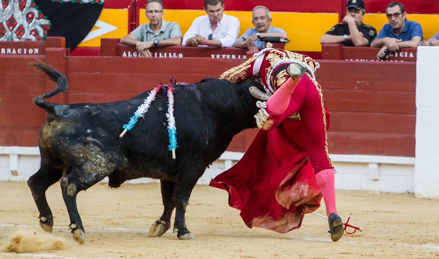 Novillada en la Plaza de Toros de Alicante