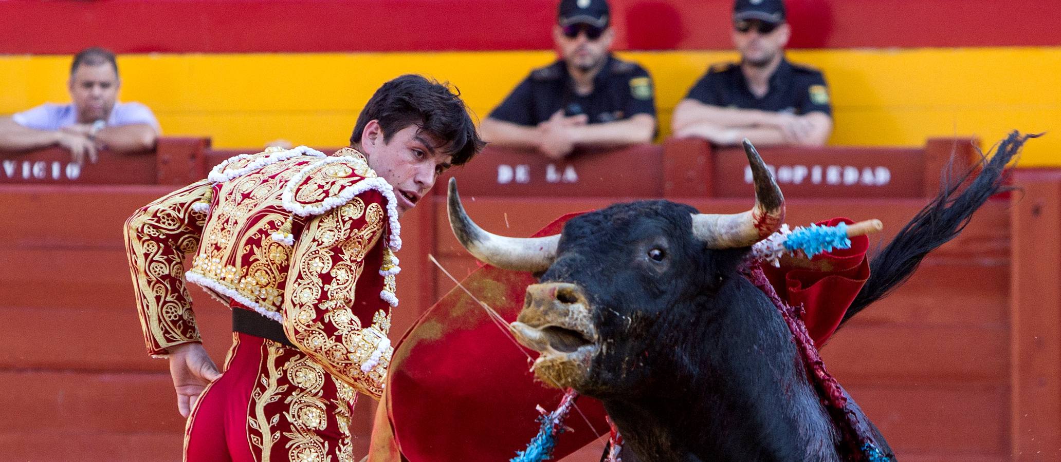 Novillada en la Plaza de Toros de Alicante