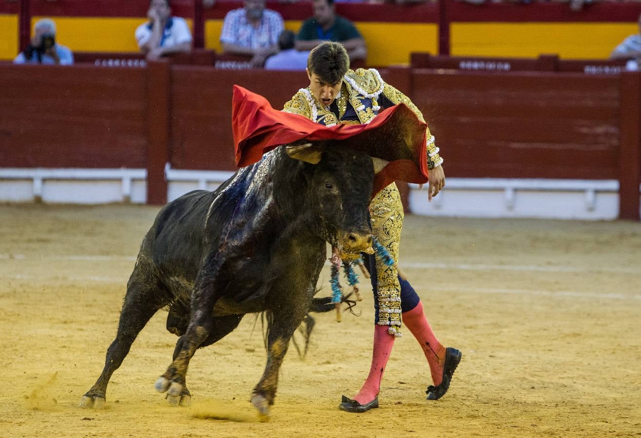 Novillada en la Plaza de Toros de Alicante