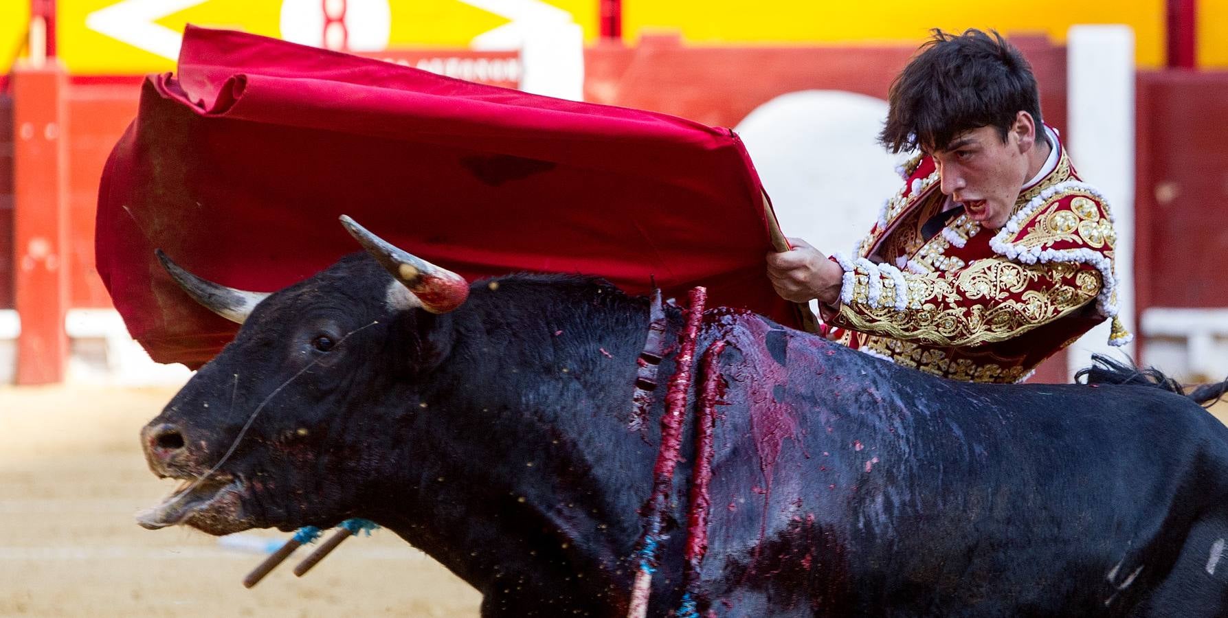 Novillada en la Plaza de Toros de Alicante